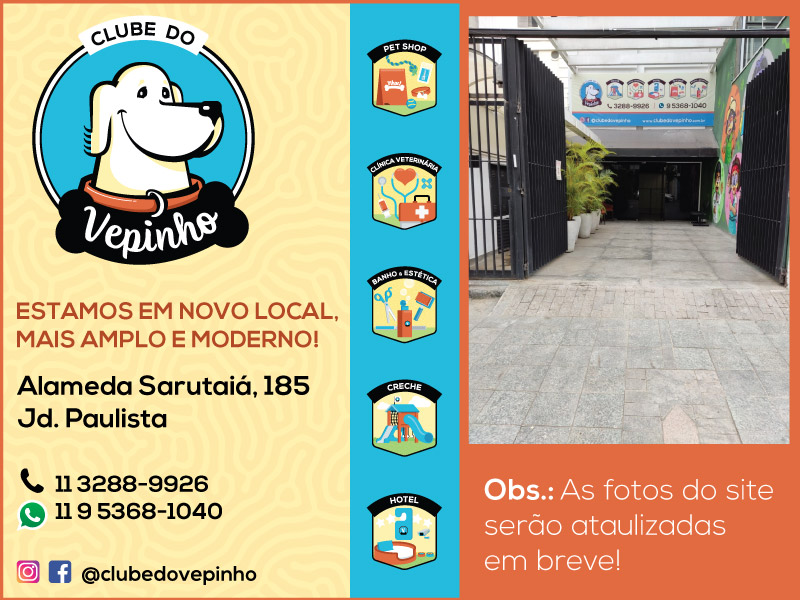 Hotel Creche Cão e Gato (19) 97134-1049, São João da Boa Vista, SP